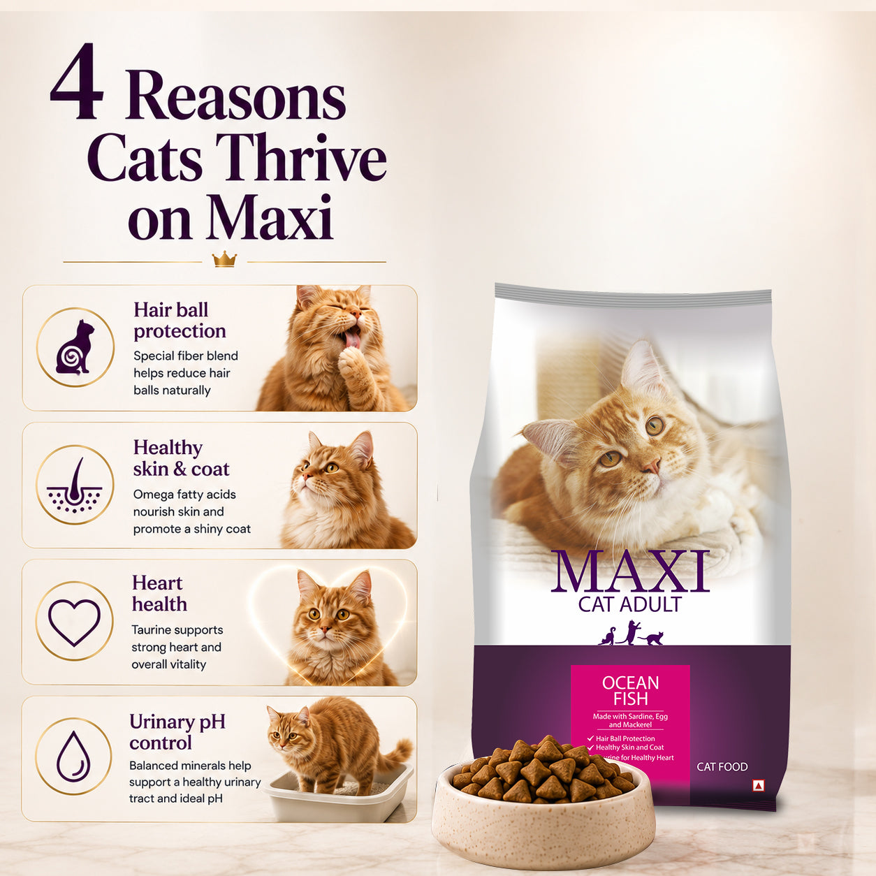 Maxi Adult Ocean Fish Adult Dry Cat Food image 5