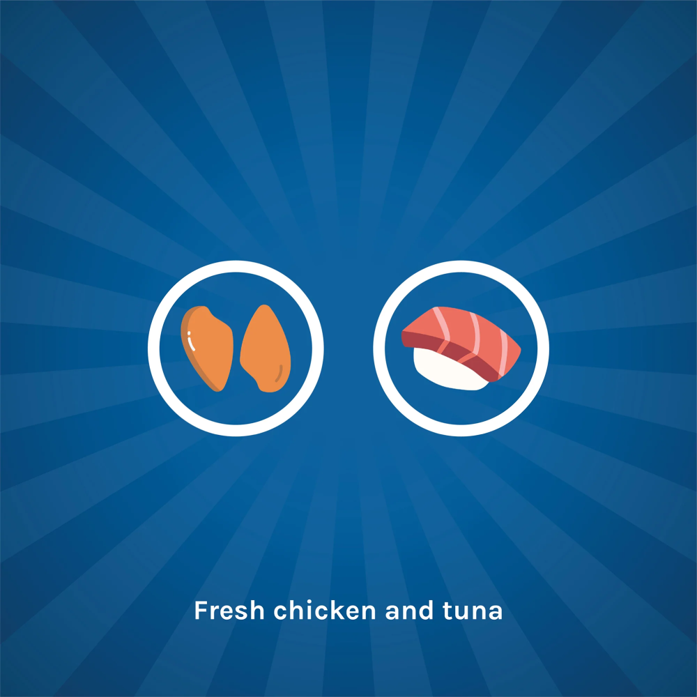 Kennel Kitchen Chicken with Tuna Shreds in Gravy Kitten & Adult Cat Wet Food (All Life Stage) image 4