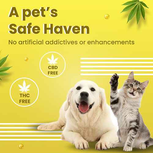 Bark Out Loud Skin & Coat Hemp Chew Stix for Dogs and Cats image 5