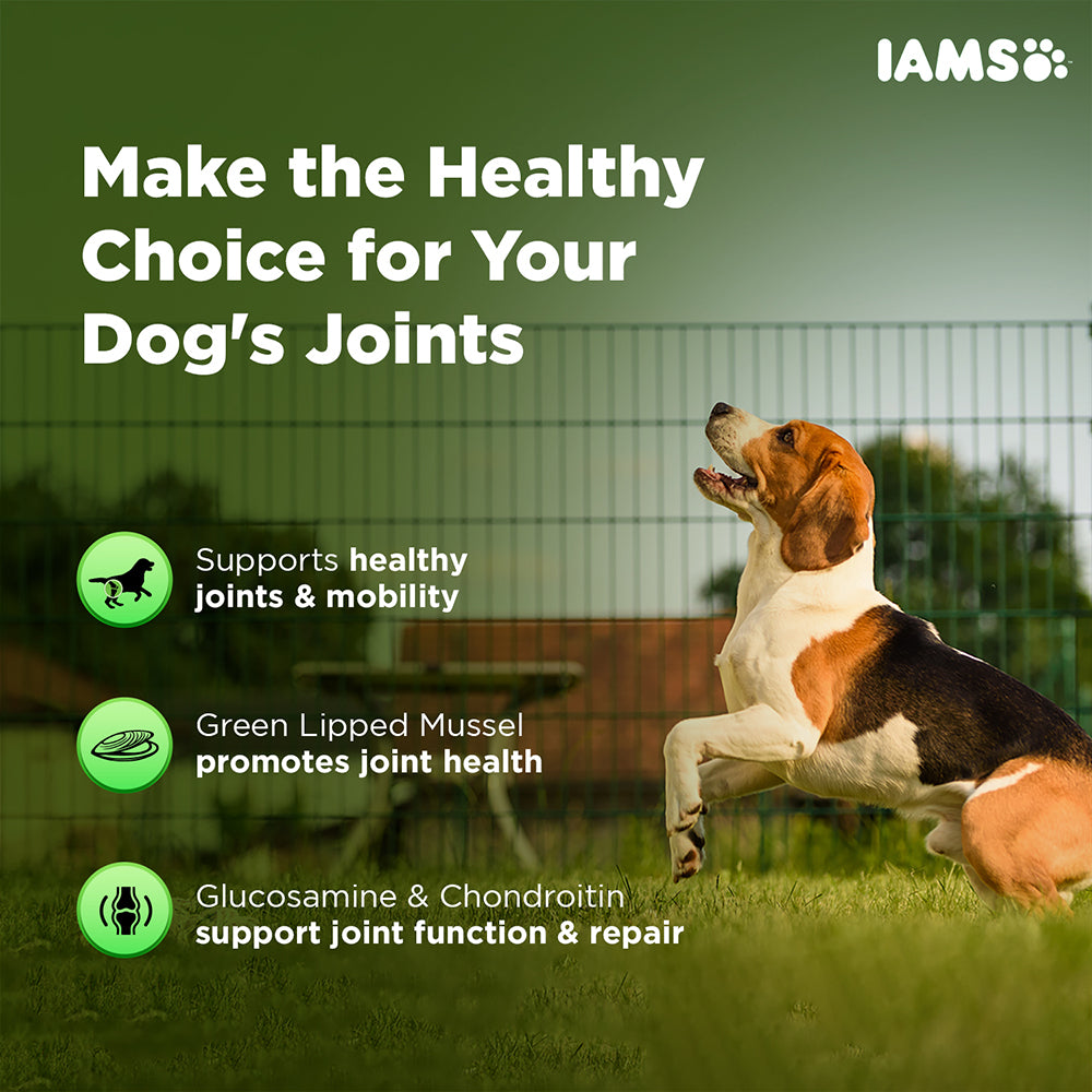 IAMS Proactive Health Dog Supplement For Joint Support image 5