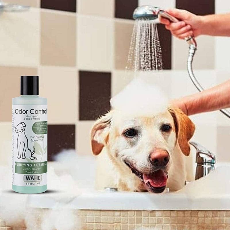 Wahl Odor Control Eucalyptus Spearmint Shampoo for Dogs image 10