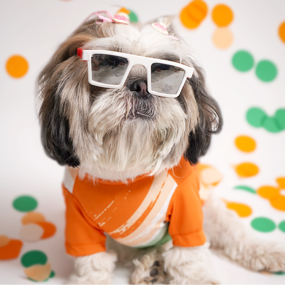 Independence Day Team India Spirit Tshirt for Dogs by Pets Way