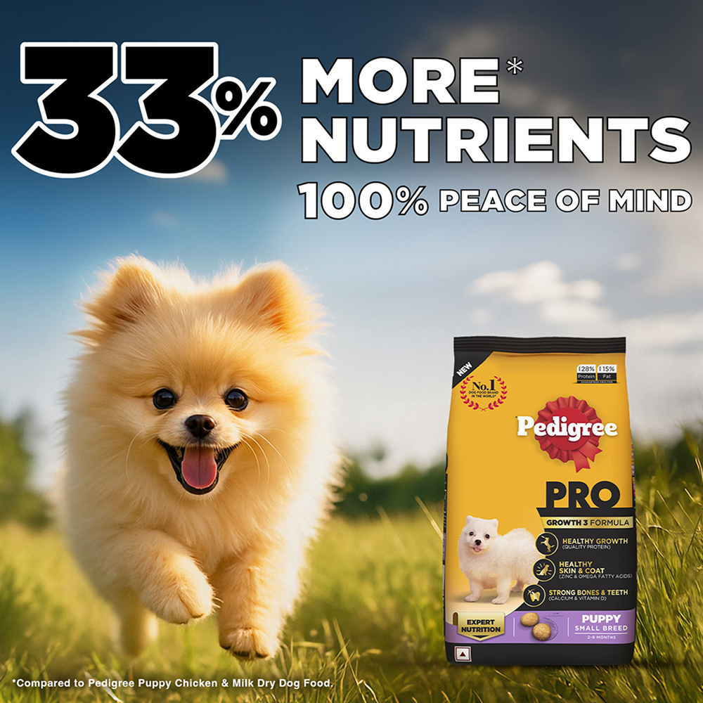 Pedigree PRO Expert Nutrition Small Breed Puppy (2 to 9 Months) Dry Food image 3