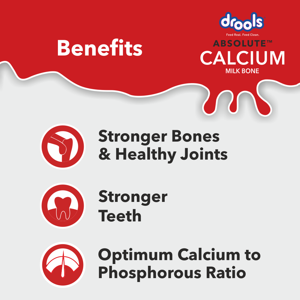 Drools Absolute Calcium Bone for Large Dogs image 4