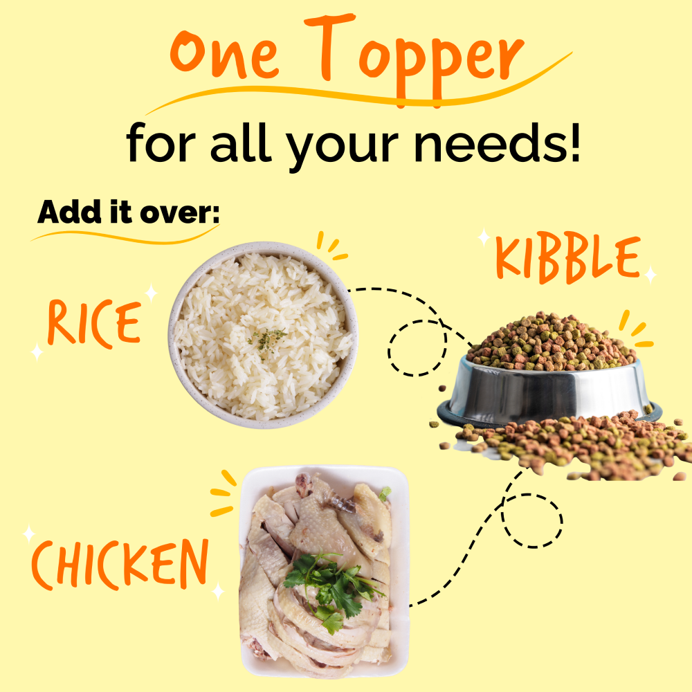 Sploot Chicken and Pumpkin Flavour Real Chicken Chunk in Gravy Dog Wet Food image 3