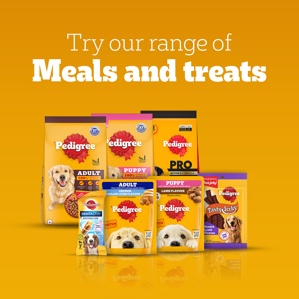 Pedigree Ranchos Super Bones Chicken & Milk Dog Treats image 10