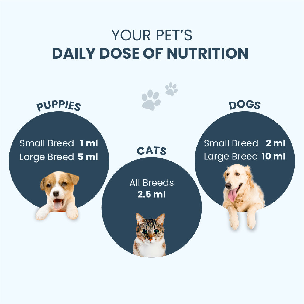 FurBall Story Supertonic Overall Wellness Syrup for Dogs and Cats image 10