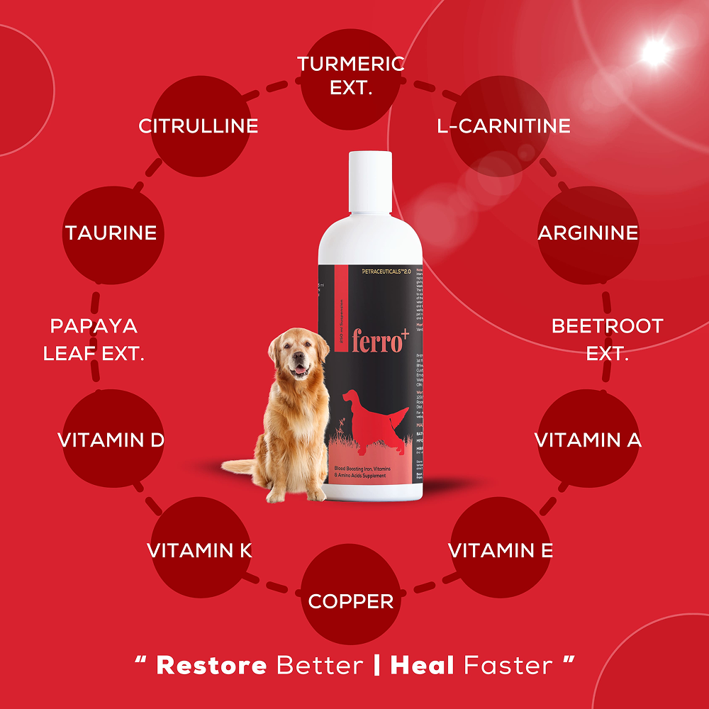Venttura Ferro Plus Iron Supplements Syrup for Dogs image 2