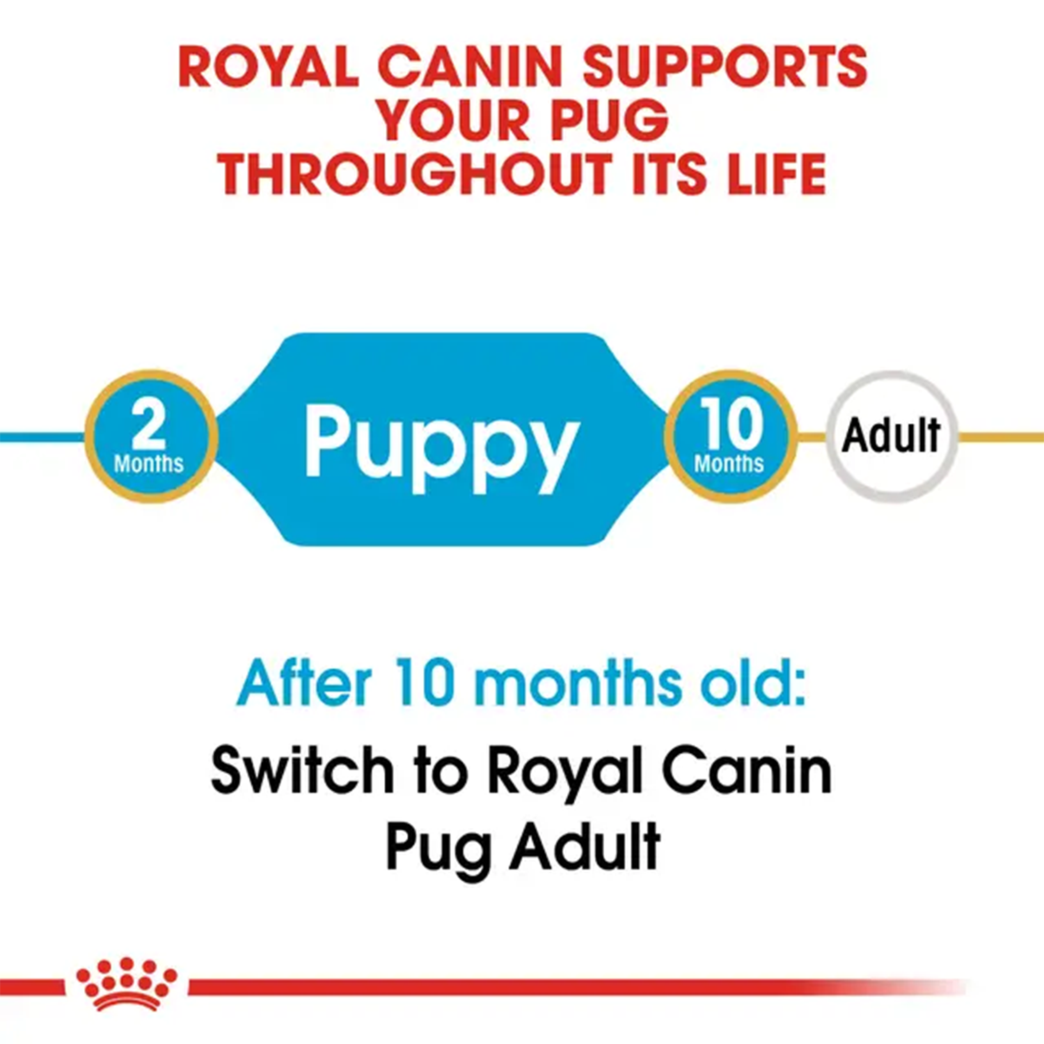 Royal Canin Pug Junior Dog Dry Food image 3