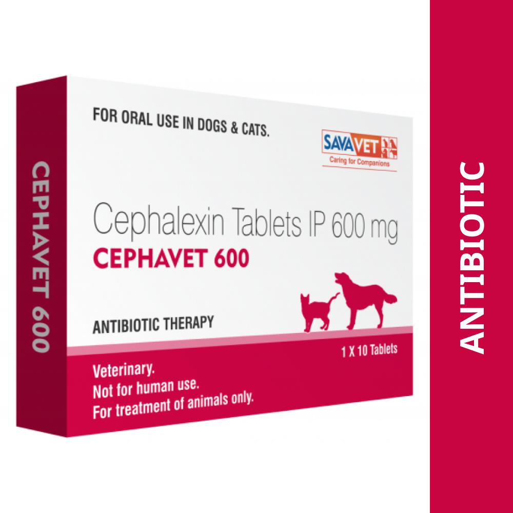 Savavet Cephavet 600mg (Cephalexin) Tablet for Dogs & Cats