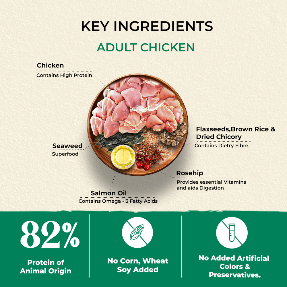 Bruno's Wild Essentials Chicken Recipe Adult Dog Dry Food image 2