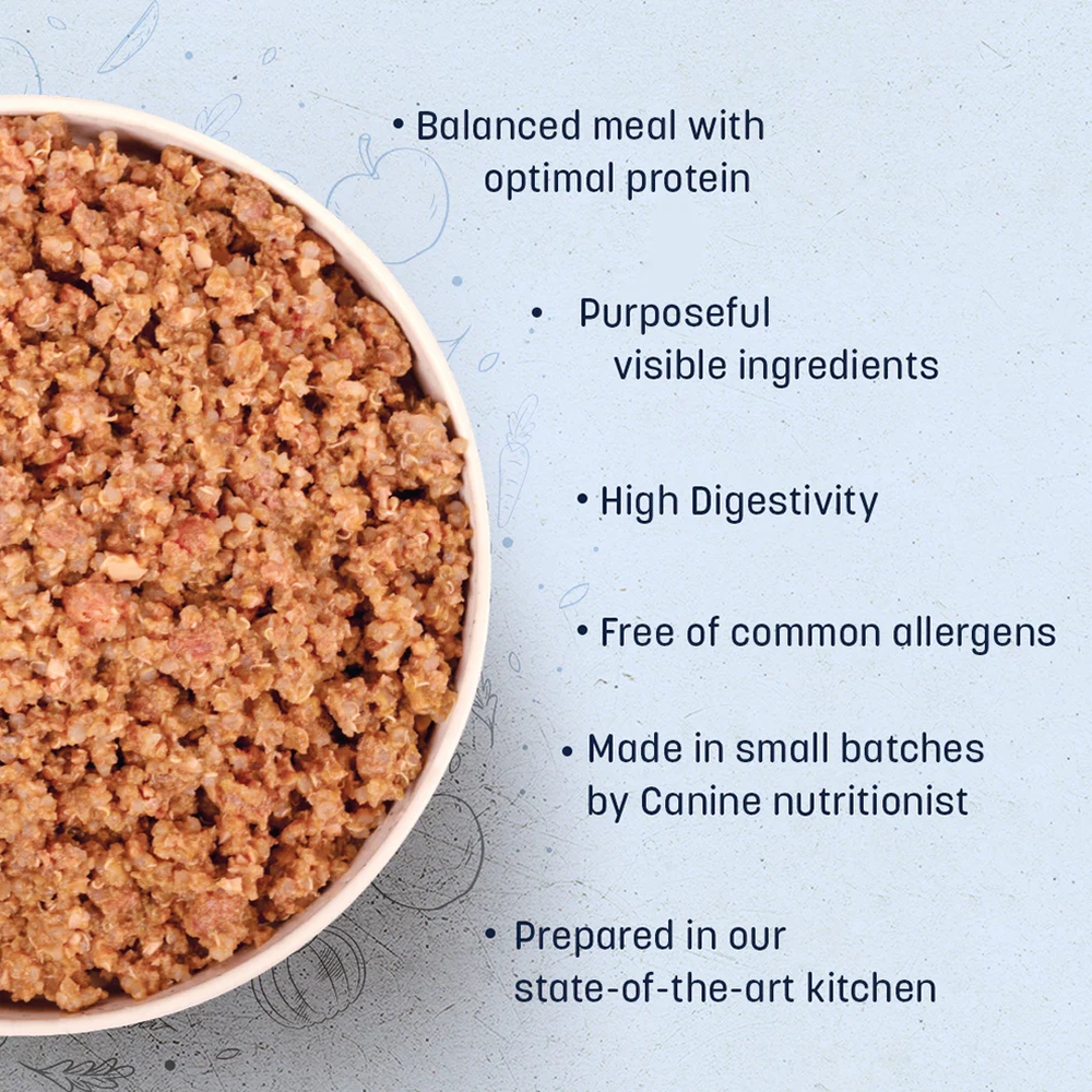 HUFT Sara's Wholesome Hypoallergenic Diet Duck & Quinoa Dog Wet Food image 6