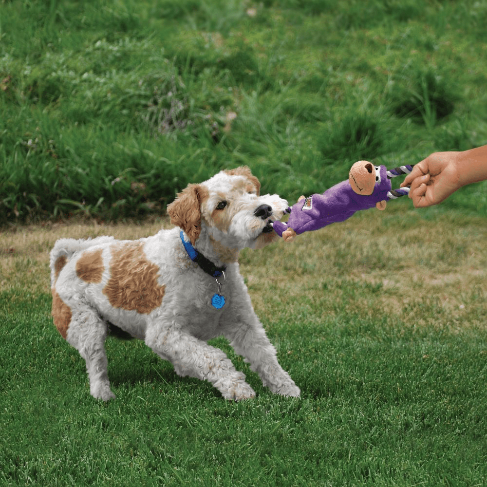 Kong Tugger Knots Moose Toy for Dogs image 4