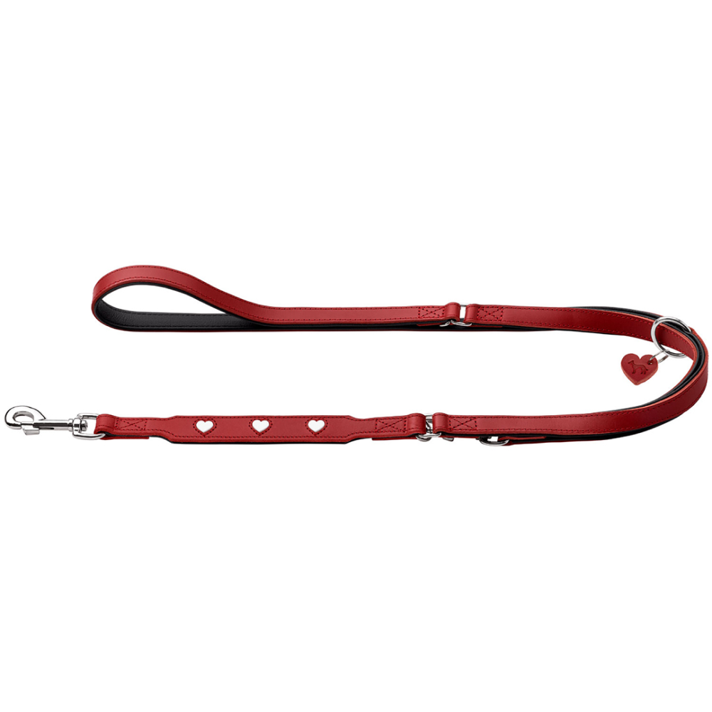 Hunter Love Training Leash for Dogs (Red) image 1