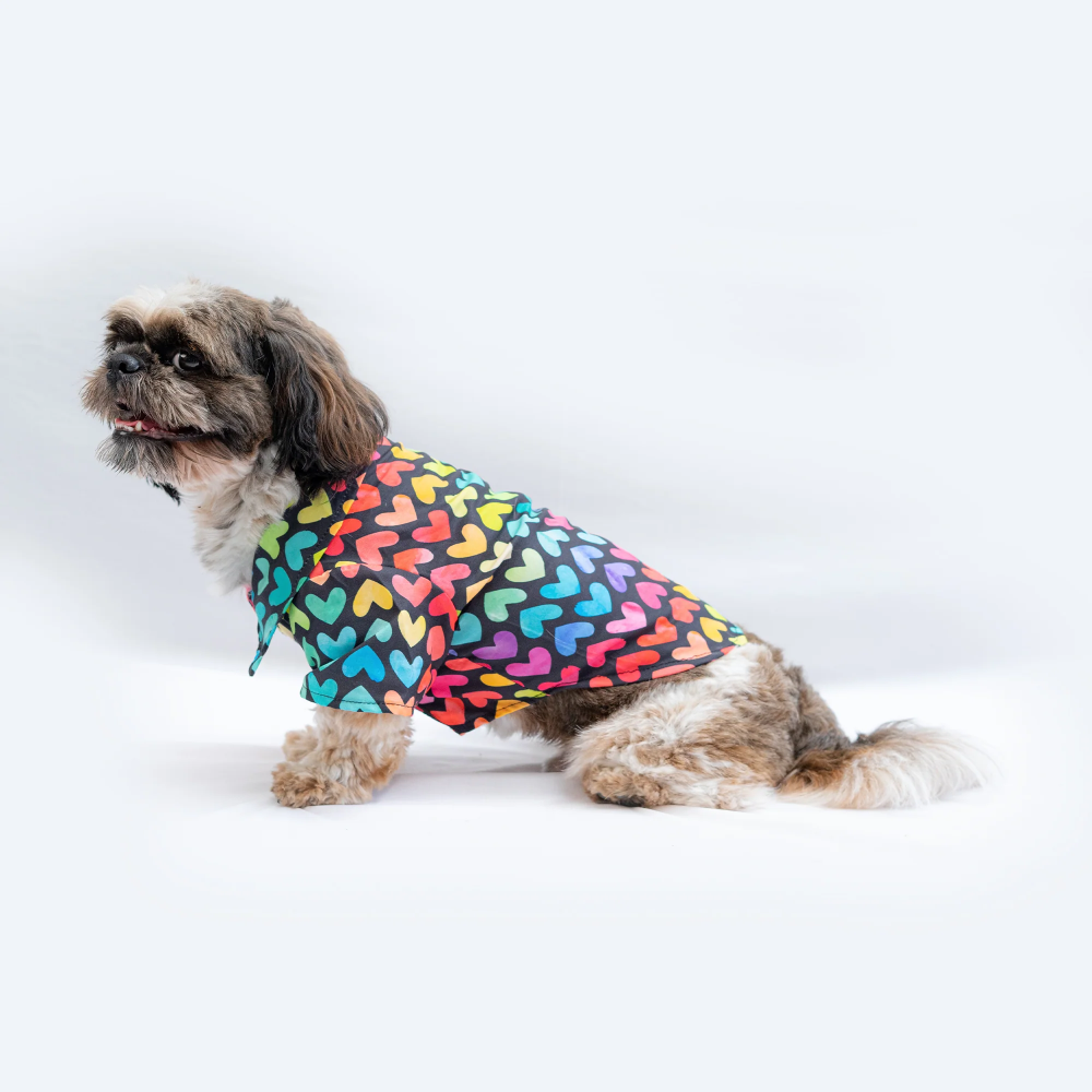 Pawgypets Multi Heart Shirt for Dogs (Multi Colour) image 2