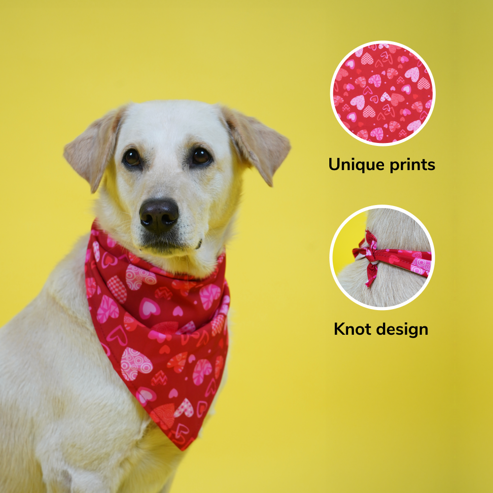 Skatrs Heart Printed Bandana for Dogs and Cats (Red) image 3