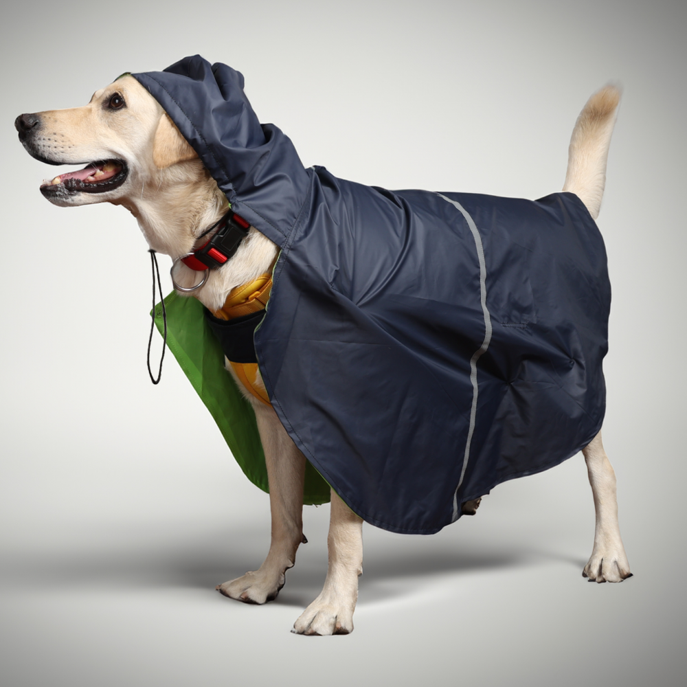 Skatrs Full Coverage Cape Style Raincoat for Dogs and Cats (Blue) image 3