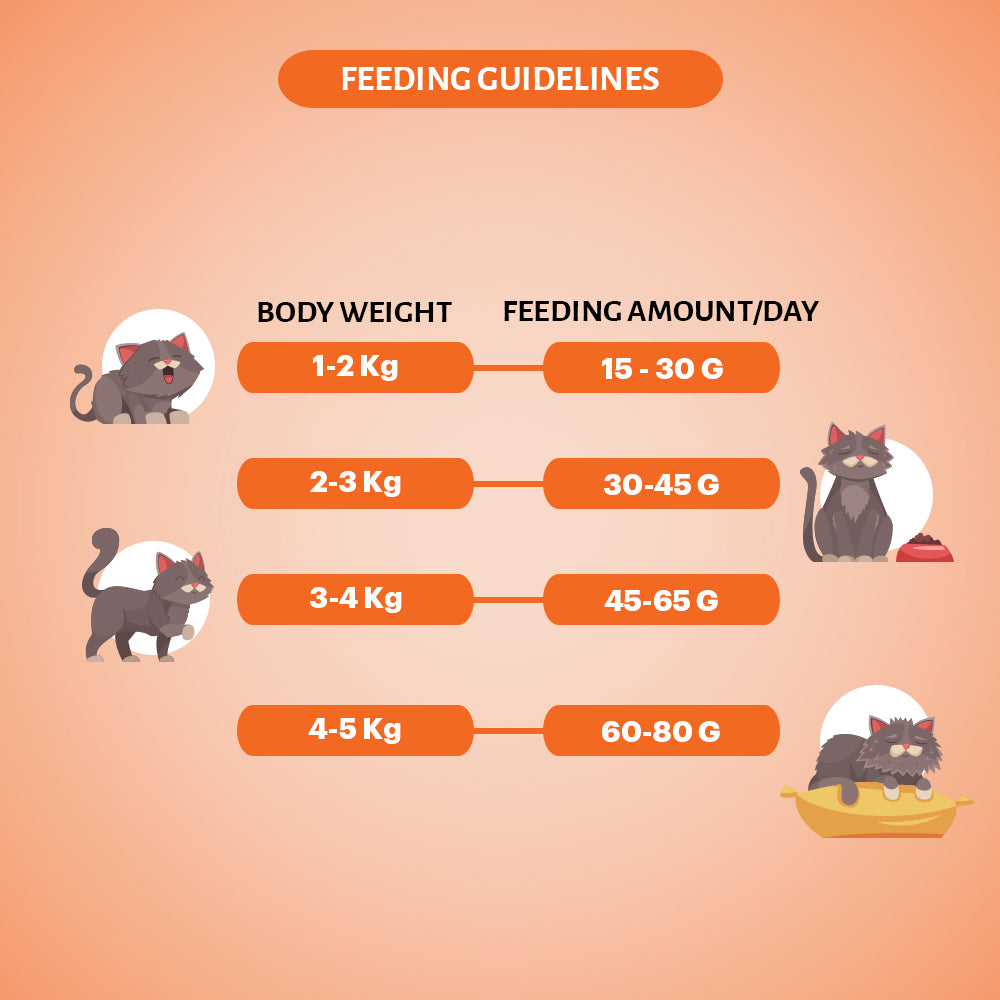 Signature Grain Zero Mackerel Adult Cat Dry Food For All Breed image 2