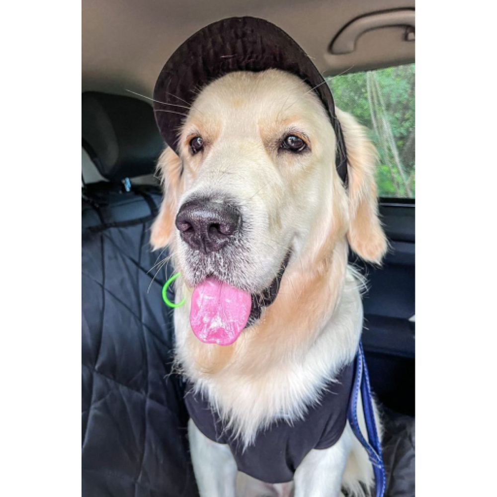 Dogobow Baseball Cap for Dogs (Black) (Get a Bow Free) image 4