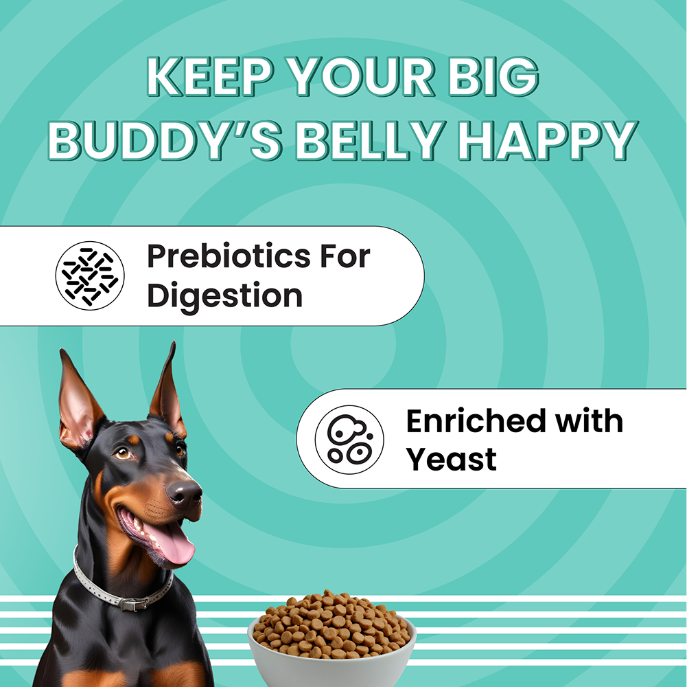 Bark Out Loud Essentials Real Chicken Medium and Large Breed Adult Dog Dry Food image 6