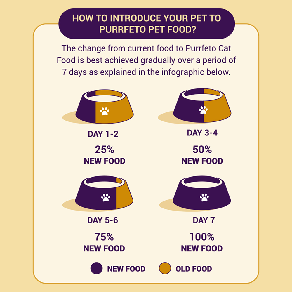 Purrfeto Chicken and Salmon Adult Cat Dry Food image 6