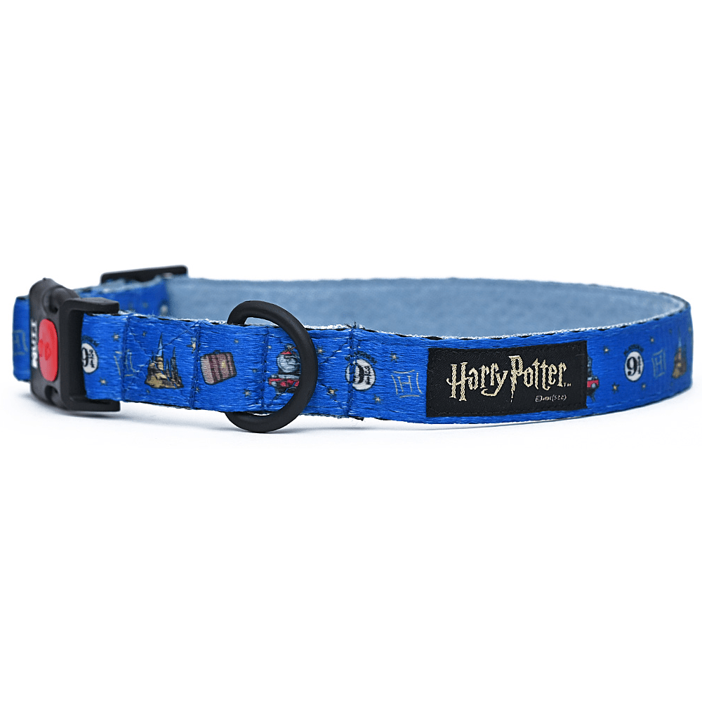 Harry Potter Welcome To Hogwarts Collar for Dogs image 3