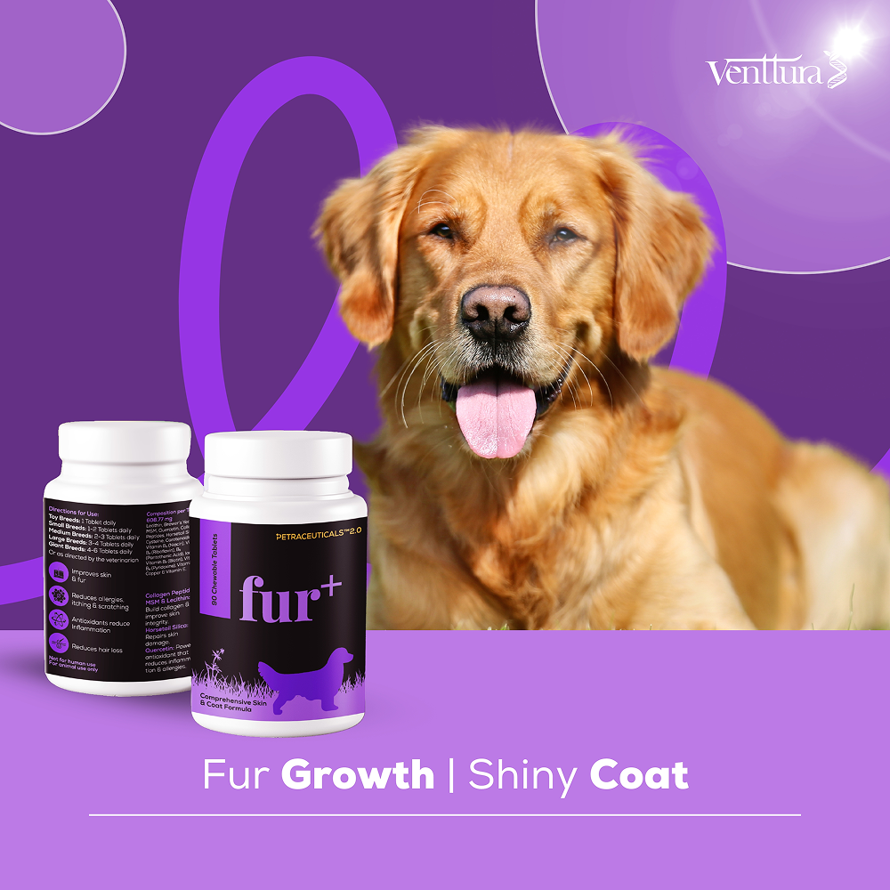 Venttura Fur Plus Chewable Skin & Coat Supplement Tablets for Dogs image 7