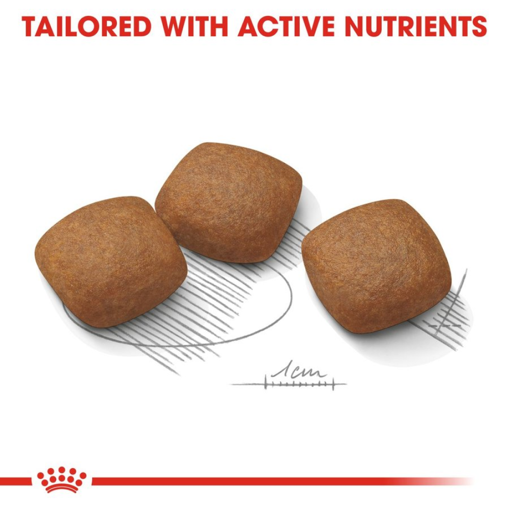 Royal Canin Maxi Jointcare Dog Dry Food image 6