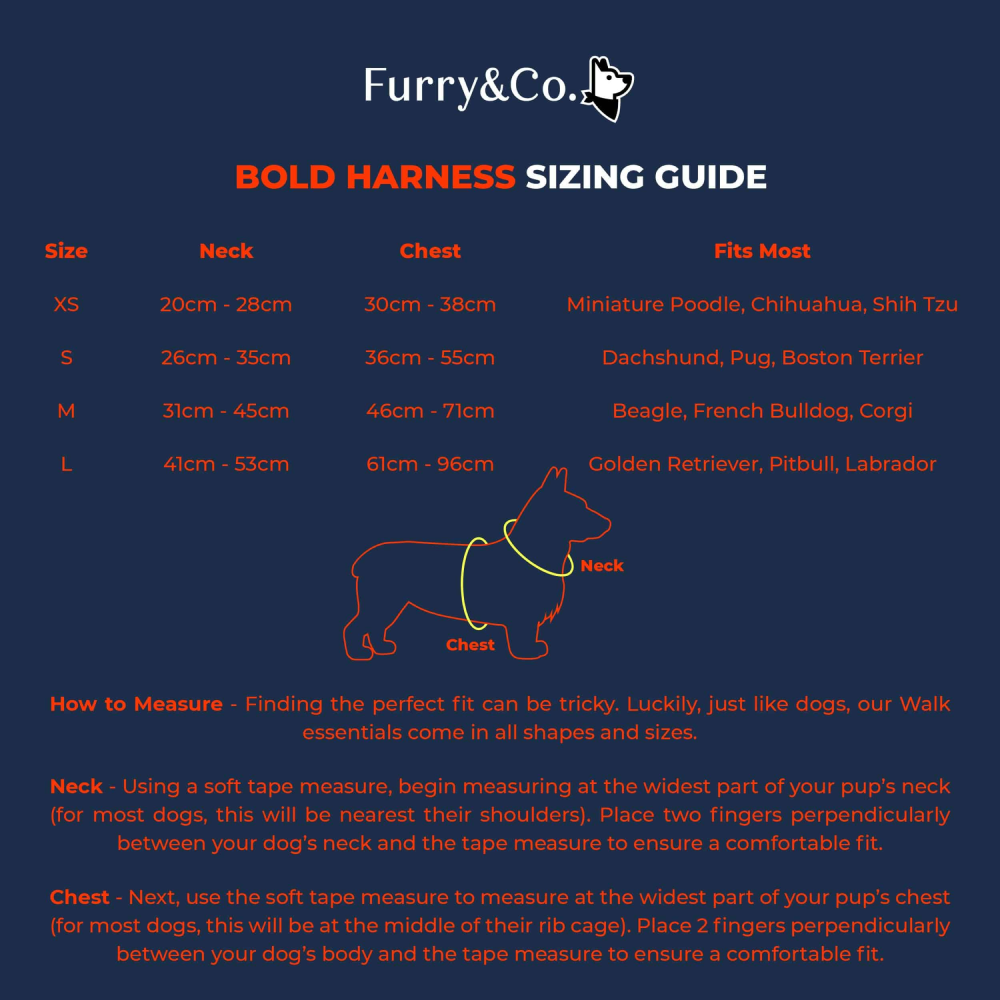 Furry & Co Bold Harness for Dogs (Everest Blue) image 5