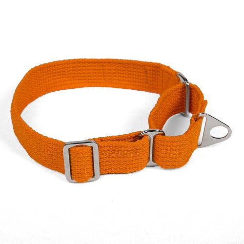 Let's Wag Martingale Fabric Collar for Dogs (Orange) image 4