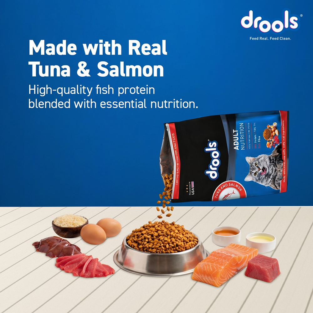 Drools Tuna & Salmon Adult Dry Cat Food image 3