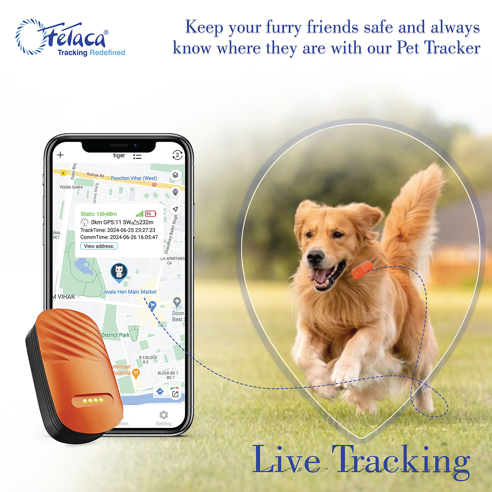 FeTaca Smart 4G GPS Tracker with Lifetime Free Tracking & 1 Year Data SIM Subscription for Dogs and Cats (Orange) image 6