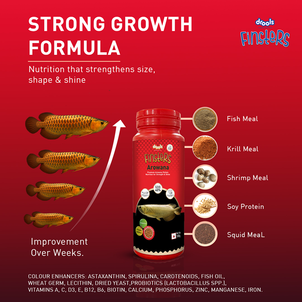 Drools Finsters Arowana Fish Food image 6