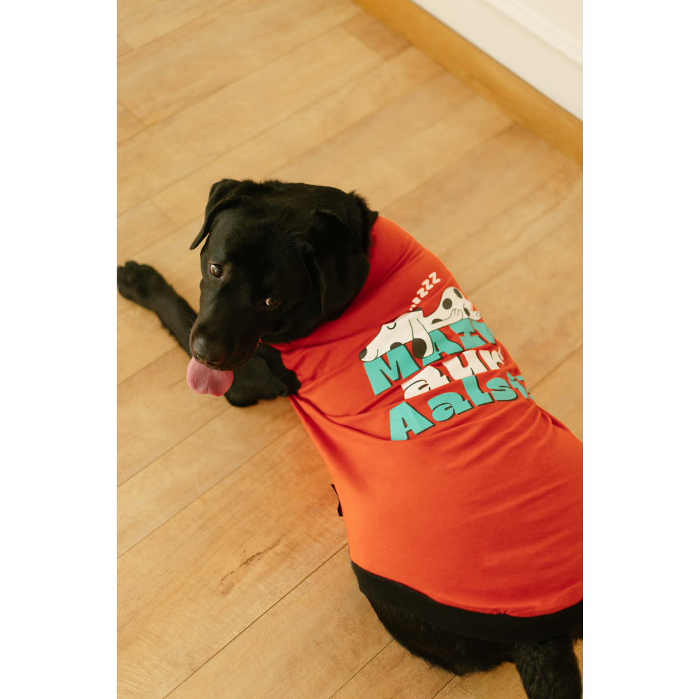 Pet Set Go Main Aur Aalsi T-shirt for Dog (Red) image 4