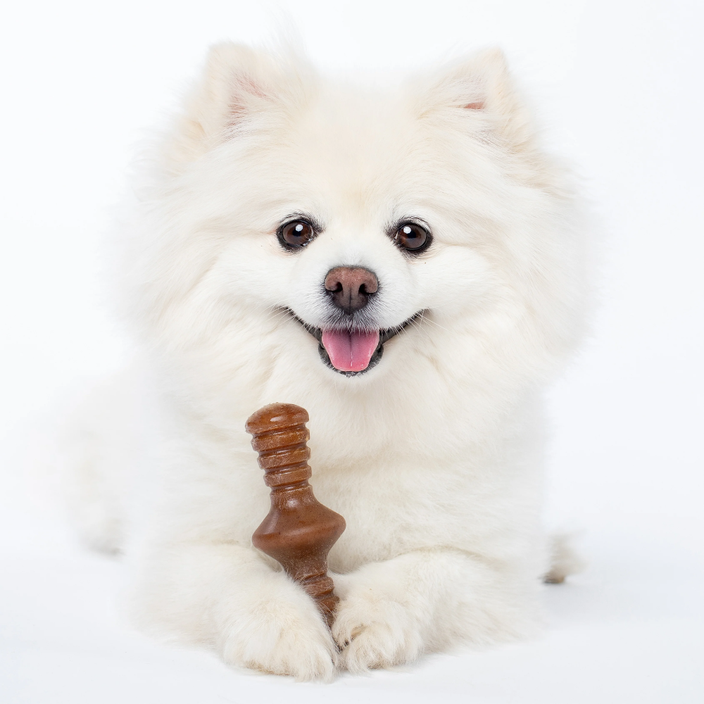 Benebone Bacon Flavored Maplestick and Zaggler Chew Toys for Dogs image 6