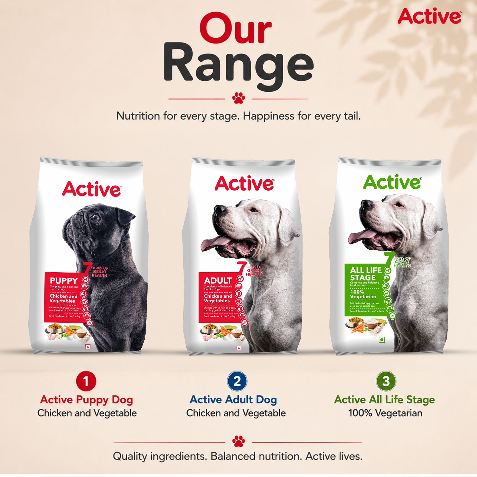 Active Chicken and Vegetables Puppy Dog Dry Food (Buy 1 Get 1) image 9