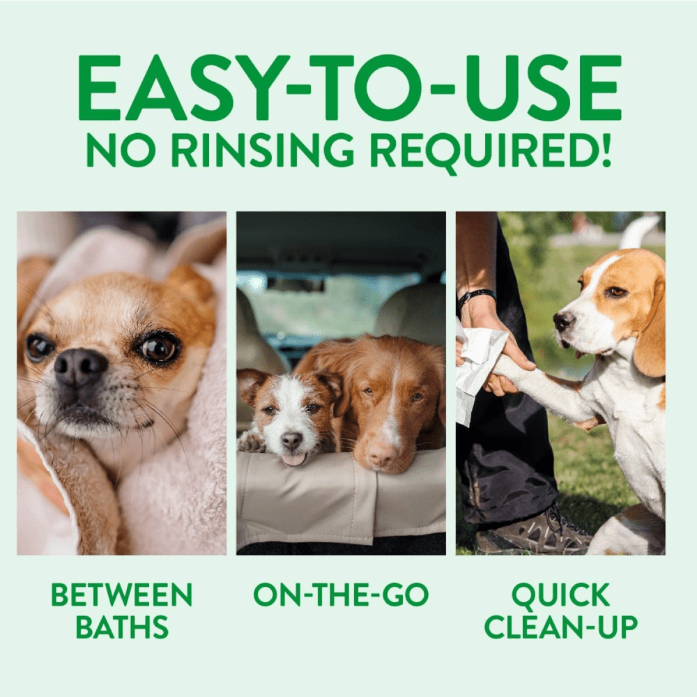 Basil Rosemary & Geranium Dry Dog Shampoo image 7