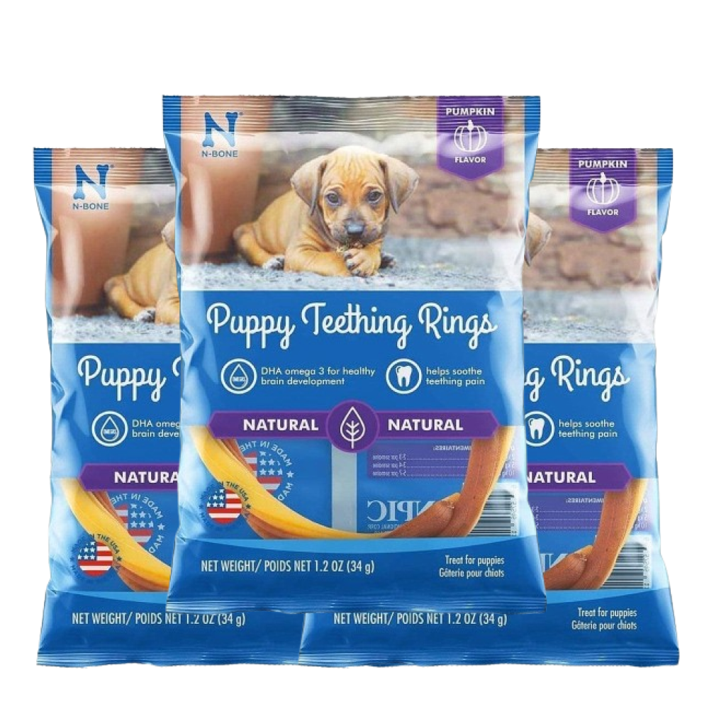 NPIC Pumpkin Flavour N Bone Puppy Teething Ring Dog Treats image 3