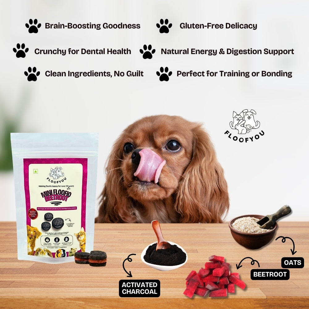 Floofyou Mini Floofio Beetroot Vegan Oven Baked Cookie Dog Treats image 4