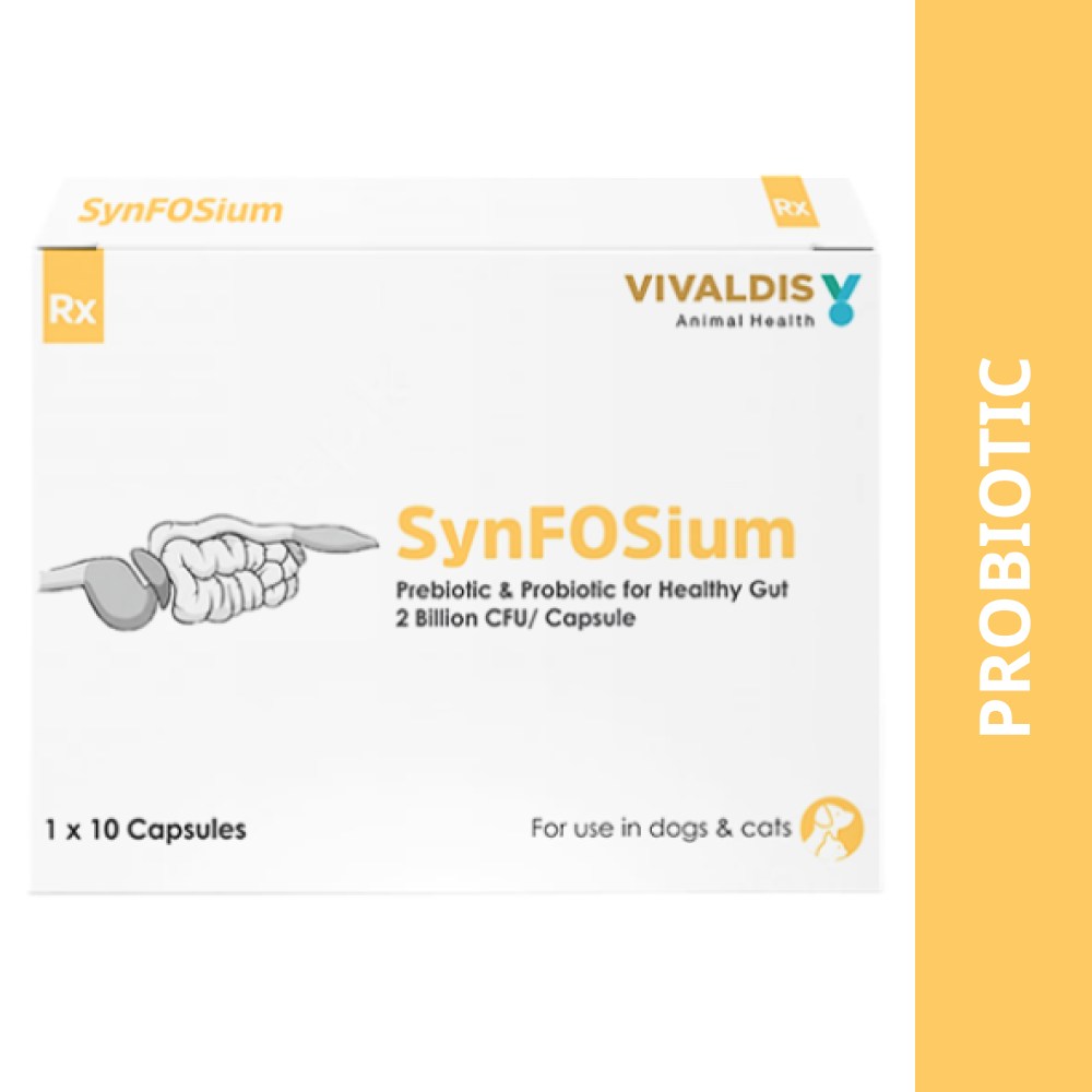 Vivaldis Synfosium Pre Probiotic Capsule for Dogs & Cats image 4