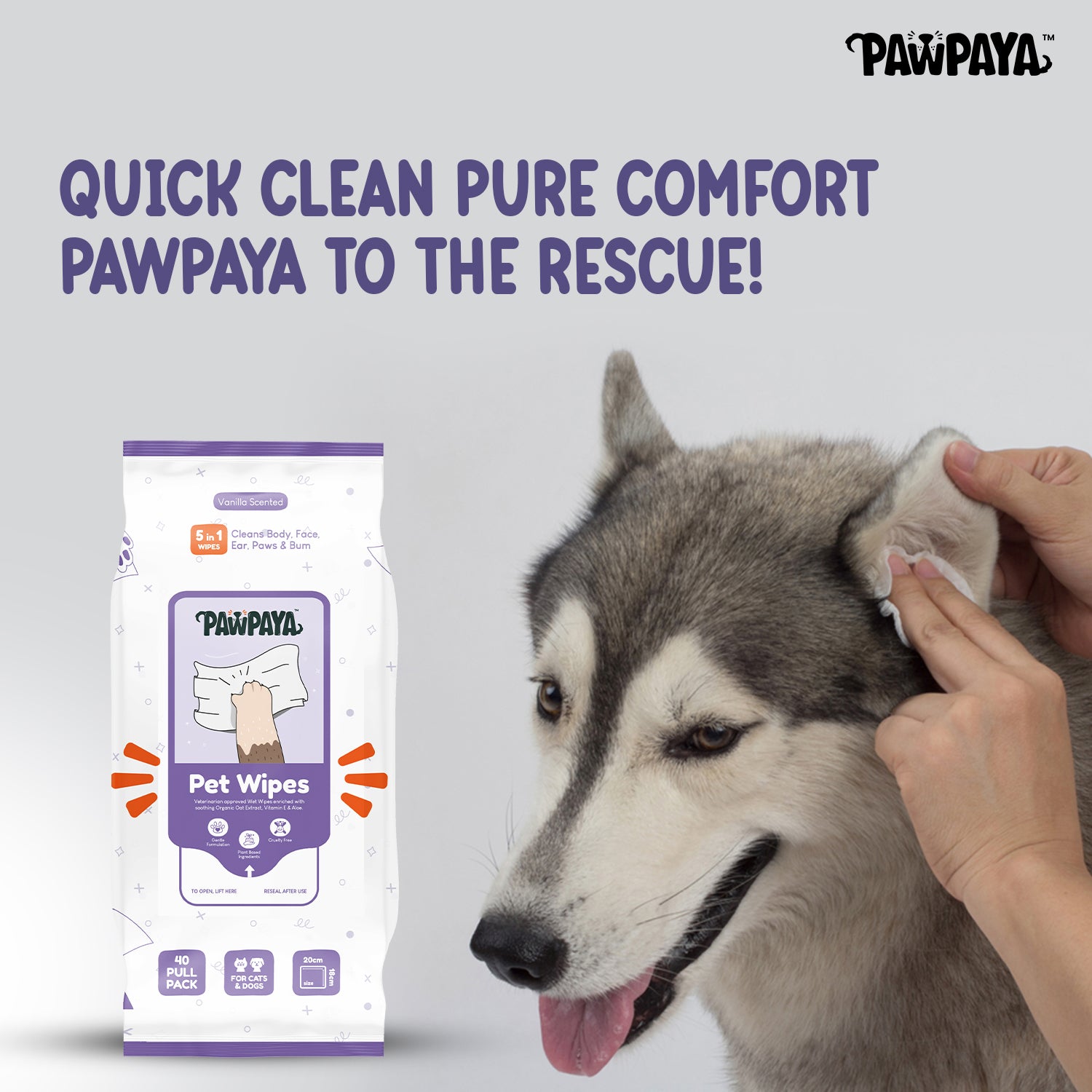 Pawpaya Lavender Wipes for Pets image 2