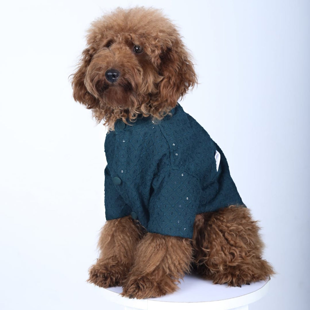 15 Furries Sherwani for Dogs (Blue)