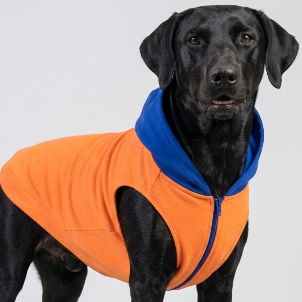 Skatrs Sunset Splash In-Style Hoodie For Dogs and Cats (Orange & Blue) image 5