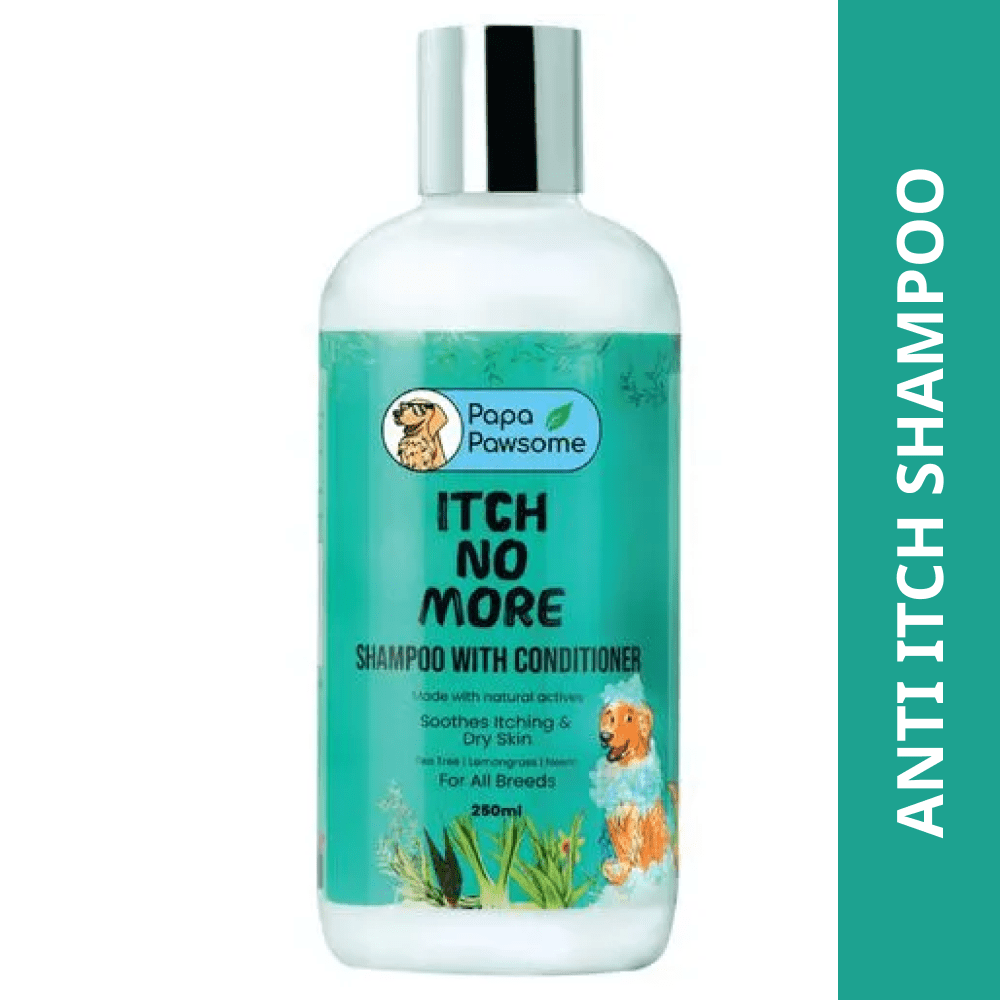 Papa Pawsome Itch No More Shampoo with Conditioner and Assorted Brush or Toy for Dogs image 2