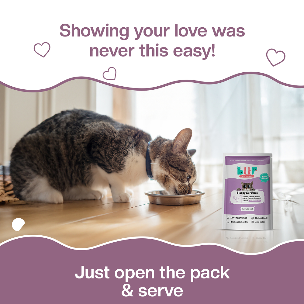 BLEP Slurpy Sardines Cat Wet Food image 9