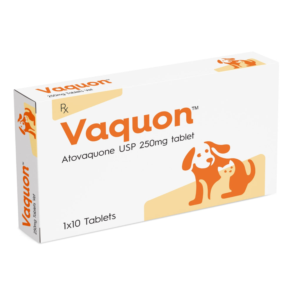 Vvaan Vaquon 250mg Tablet (Atovaquone) for Dogs and Cats