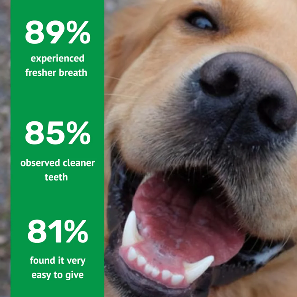 Absolut Pet Oral Care Plaque & Tartar Remover Chews Dog Supplements image 5