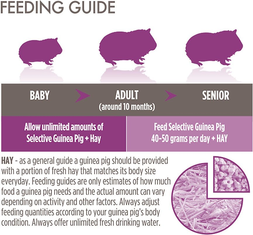 Science Selective Guinea Pig Food image 3