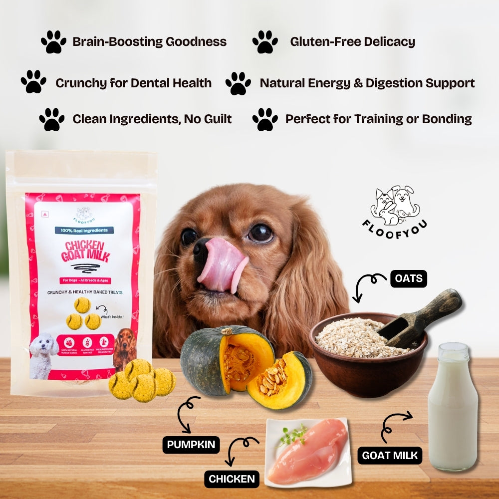 Floofyou Chicken Goat Milk Oven Baked Cookie Dog Treats image 4