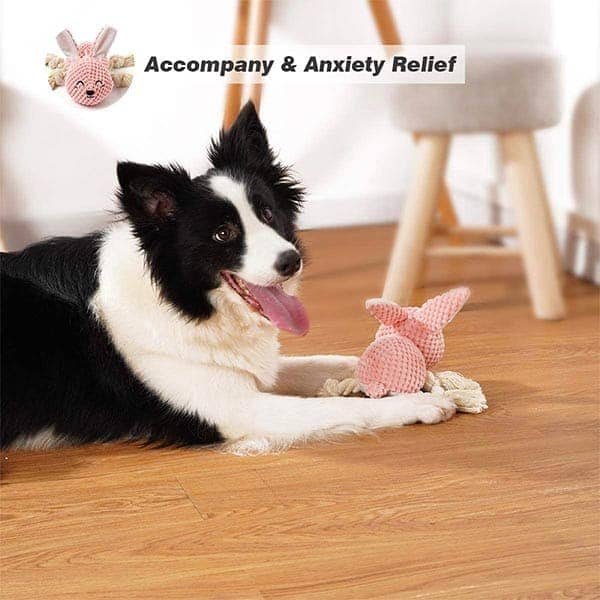 Pawsindia Sleepy Bunny Toy for Dogs image 6
